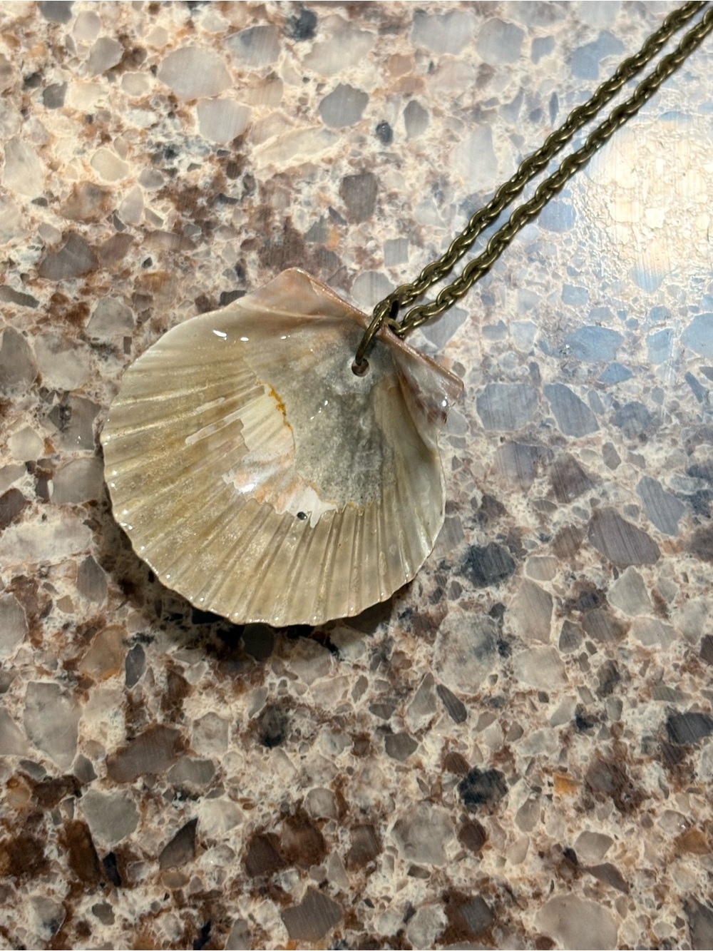 Shell necklace - Picture 6 of 6